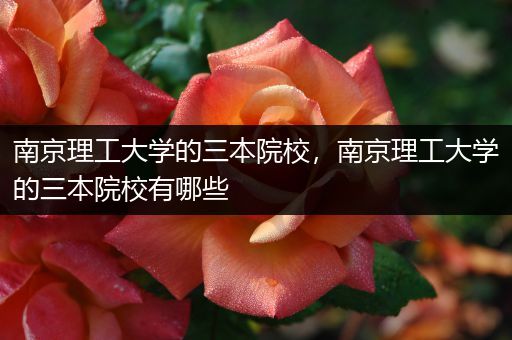 南京理工大学的三本院校，南京理工大学的三本院校有哪些