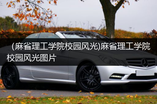 （麻省理工学院校园风光)麻省理工学院校园风光图片