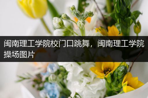 闽南理工学院校门口跳舞，闽南理工学院操场图片