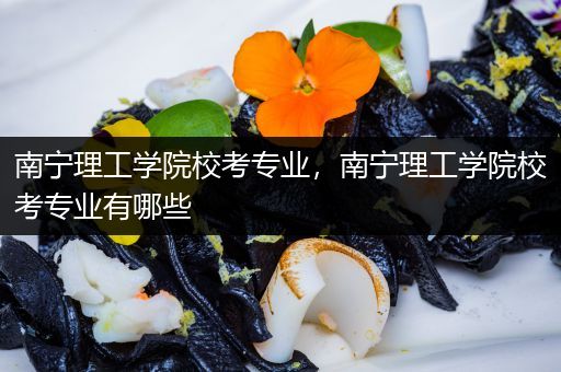 南宁理工学院校考专业，南宁理工学院校考专业有哪些
