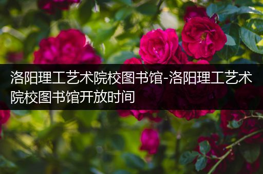 洛阳理工艺术院校图书馆-洛阳理工艺术院校图书馆开放时间