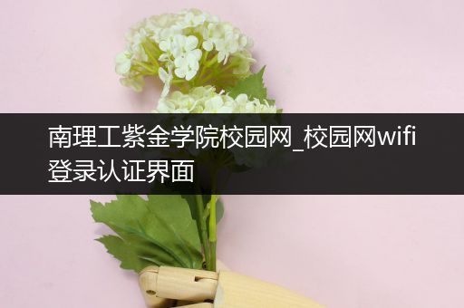 南理工紫金学院校园网_校园网wifi登录认证界面