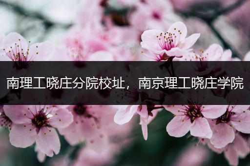 南理工晓庄分院校址，南京理工晓庄学院