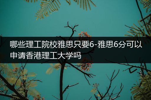 哪些理工院校雅思只要6-雅思6分可以申请香港理工大学吗
