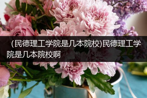 （民德理工学院是几本院校)民德理工学院是几本院校啊