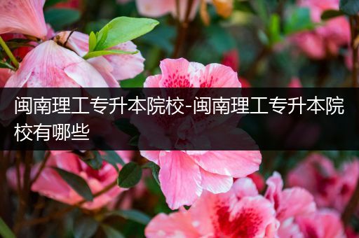 闽南理工专升本院校-闽南理工专升本院校有哪些
