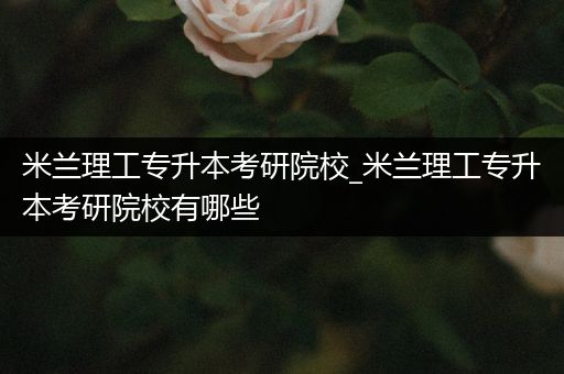 米兰理工专升本考研院校_米兰理工专升本考研院校有哪些