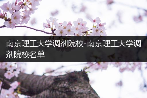 南京理工大学调剂院校-南京理工大学调剂院校名单
