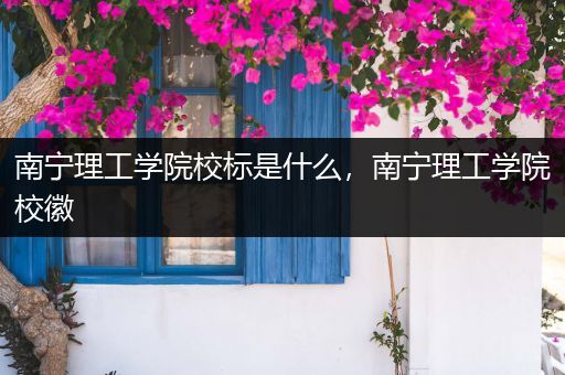 南宁理工学院校标是什么，南宁理工学院校徽