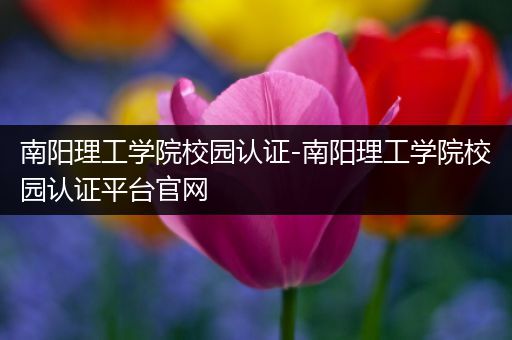 南阳理工学院校园认证-南阳理工学院校园认证平台官网