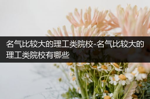 名气比较大的理工类院校-名气比较大的理工类院校有哪些