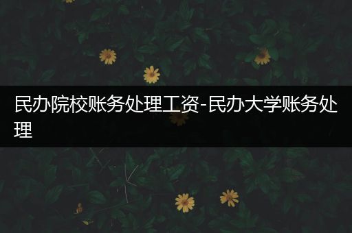 民办院校账务处理工资-民办大学账务处理