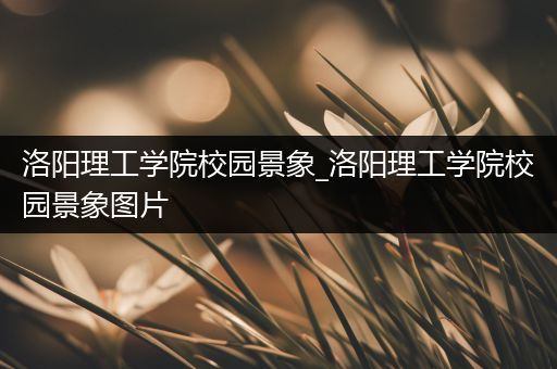 洛阳理工学院校园景象_洛阳理工学院校园景象图片
