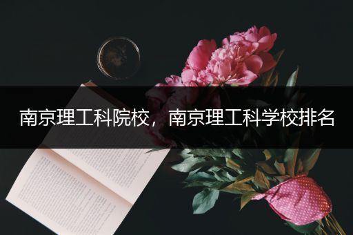 南京理工科院校，南京理工科学校排名