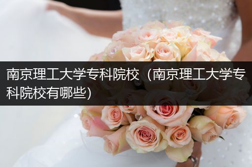 南京理工大学专科院校（南京理工大学专科院校有哪些）