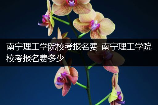 南宁理工学院校考报名费-南宁理工学院校考报名费多少