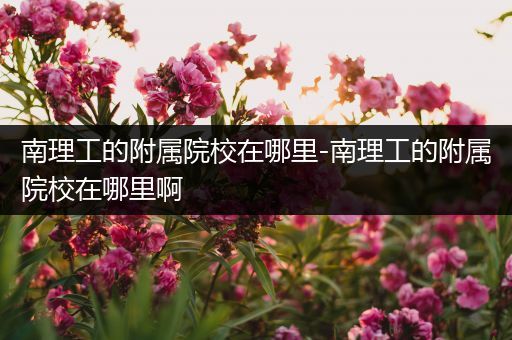 南理工的附属院校在哪里-南理工的附属院校在哪里啊