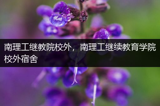 南理工继教院校外，南理工继续教育学院校外宿舍