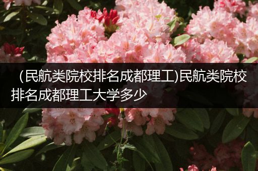 （民航类院校排名成都理工)民航类院校排名成都理工大学多少