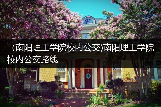 （南阳理工学院校内公交)南阳理工学院校内公交路线