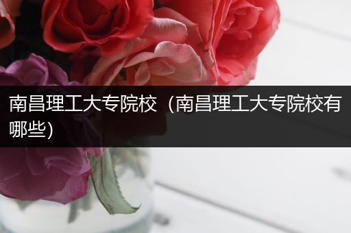 南昌理工大专院校（南昌理工大专院校有哪些）