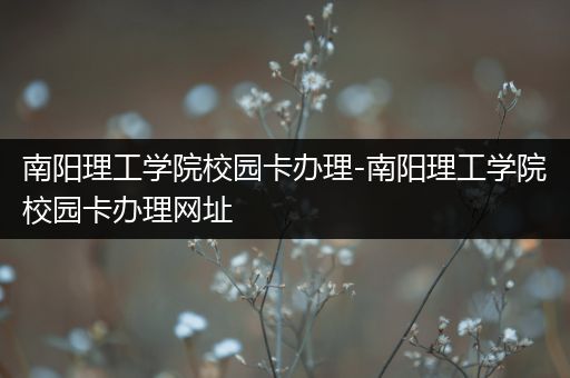 南阳理工学院校园卡办理-南阳理工学院校园卡办理网址