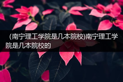 （南宁理工学院是几本院校)南宁理工学院是几本院校的