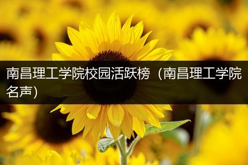 南昌理工学院校园活跃榜（南昌理工学院名声）