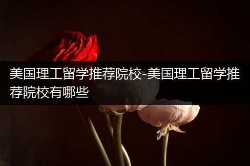 美国理工留学推荐院校-美国理工留学推荐院校有哪些