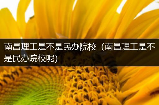 南昌理工是不是民办院校（南昌理工是不是民办院校呢）