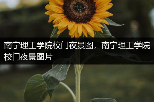 南宁理工学院校门夜景图，南宁理工学院校门夜景图片