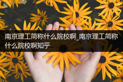 南京理工简称什么院校啊_南京理工简称什么院校啊知乎