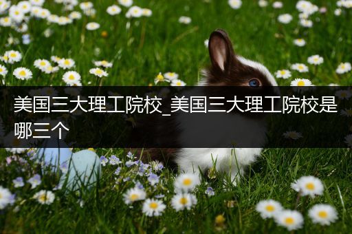 美国三大理工院校_美国三大理工院校是哪三个