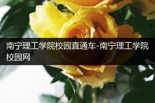 南宁理工学院校园直通车-南宁理工学院校园网