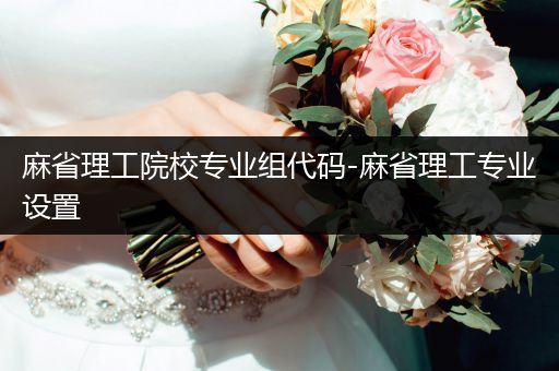 麻省理工院校专业组代码-麻省理工专业设置