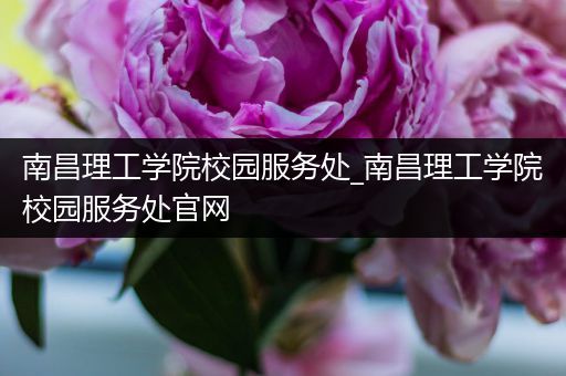 南昌理工学院校园服务处_南昌理工学院校园服务处官网