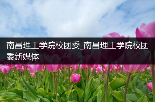 南昌理工学院校团委_南昌理工学院校团委新媒体