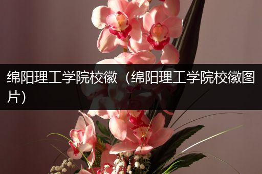 绵阳理工学院校徽（绵阳理工学院校徽图片）