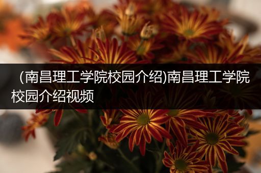 （南昌理工学院校园介绍)南昌理工学院校园介绍视频