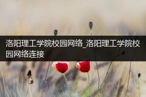 洛阳理工学院校园网络_洛阳理工学院校园网络连接