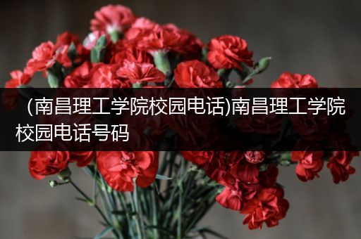 （南昌理工学院校园电话)南昌理工学院校园电话号码