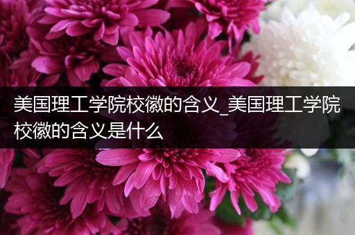 美国理工学院校徽的含义_美国理工学院校徽的含义是什么