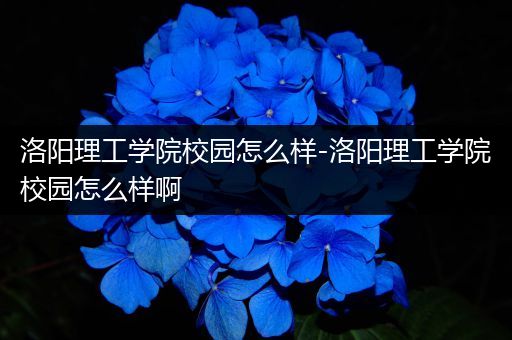 洛阳理工学院校园怎么样-洛阳理工学院校园怎么样啊