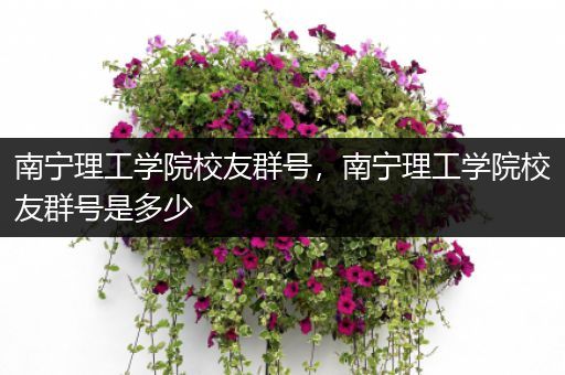 南宁理工学院校友群号，南宁理工学院校友群号是多少