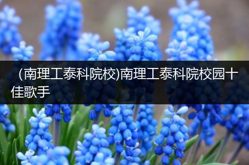 （南理工泰科院校)南理工泰科院校园十佳歌手