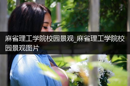 麻省理工学院校园景观_麻省理工学院校园景观图片