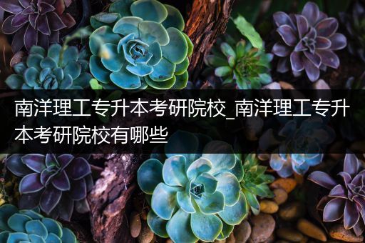 南洋理工专升本考研院校_南洋理工专升本考研院校有哪些