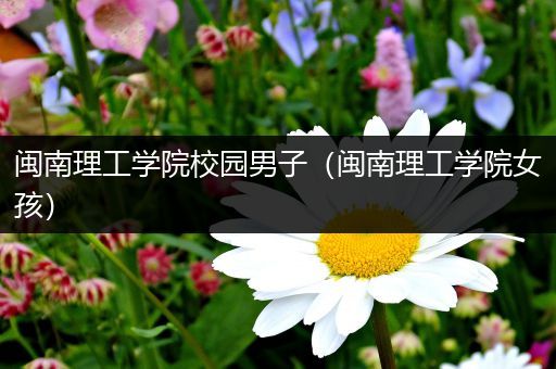 闽南理工学院校园男子（闽南理工学院女孩）