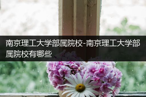 南京理工大学部属院校-南京理工大学部属院校有哪些