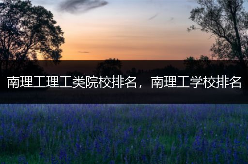 南理工理工类院校排名，南理工学校排名
